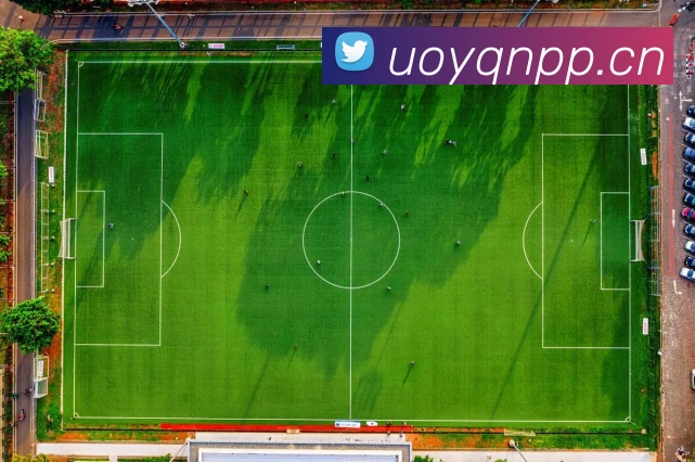 华体官网首页登录入口全站App